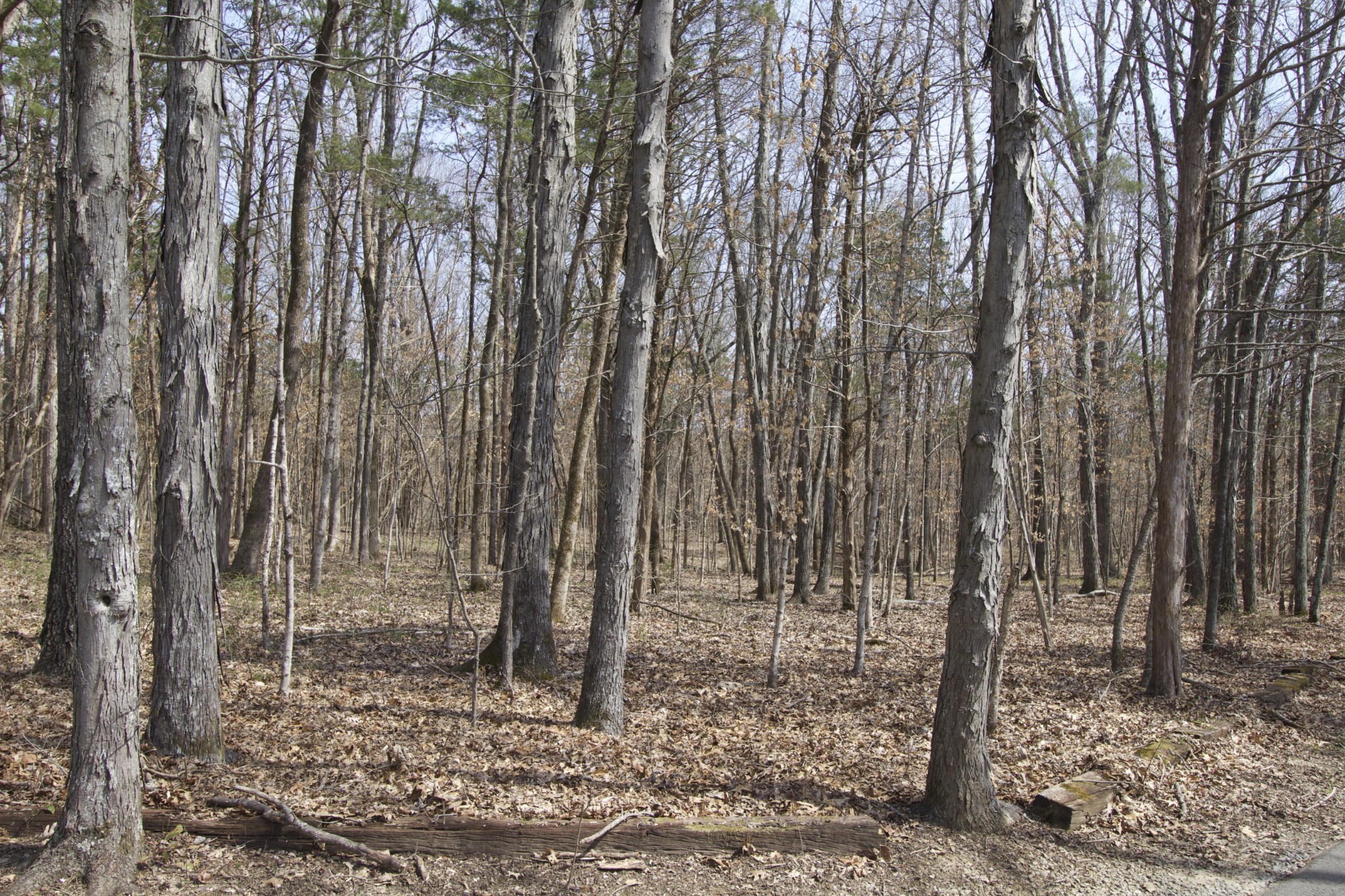 0 Moccasin Rd Property Photo 25