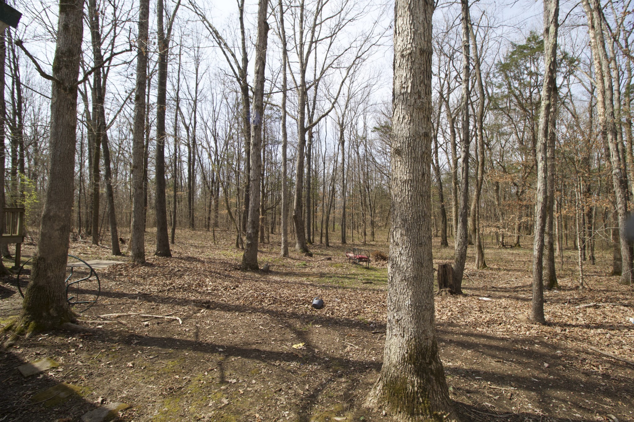 0 Moccasin Rd Property Photo 34