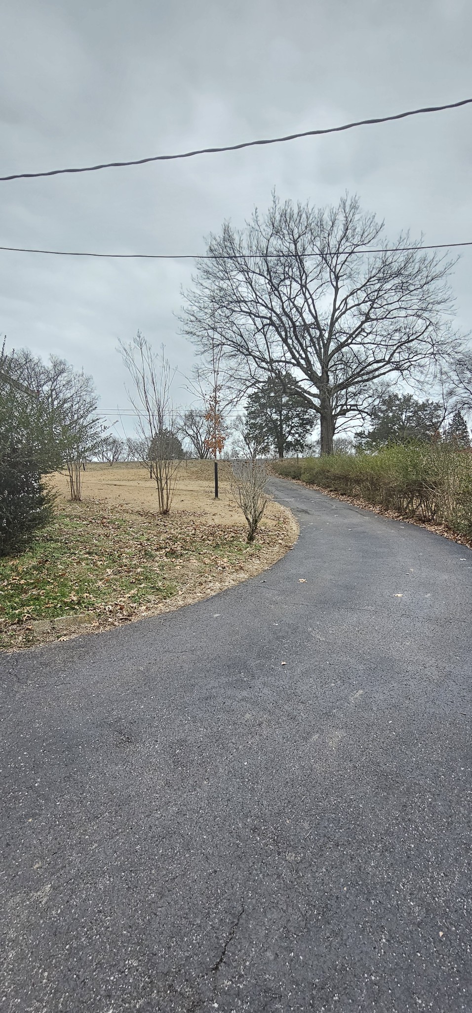 215 Forest Retreat Rd Property Photo 42