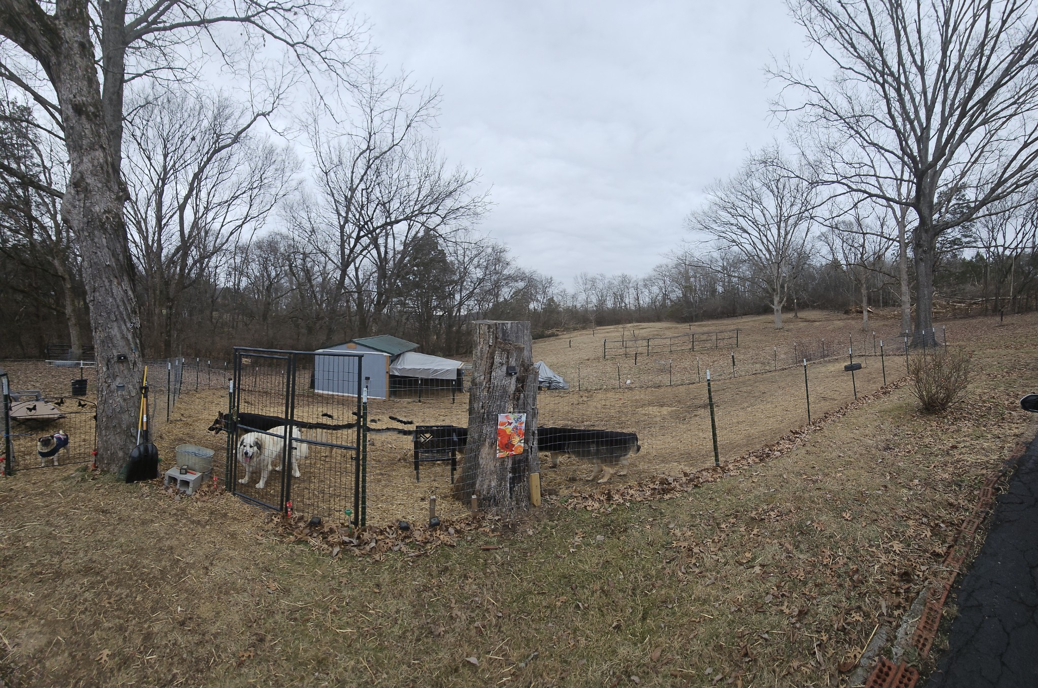 215 Forest Retreat Rd Property Photo 44