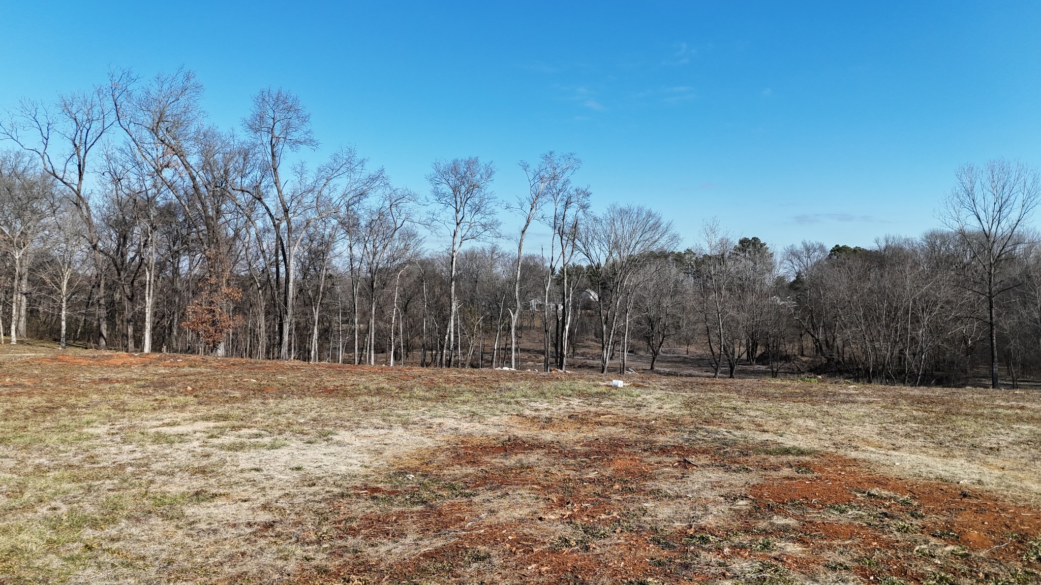 3187 N Thompson Ln Property Photo 7