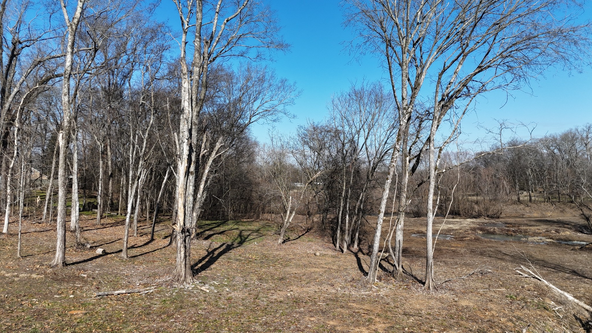 3187 N Thompson Ln Property Photo 9