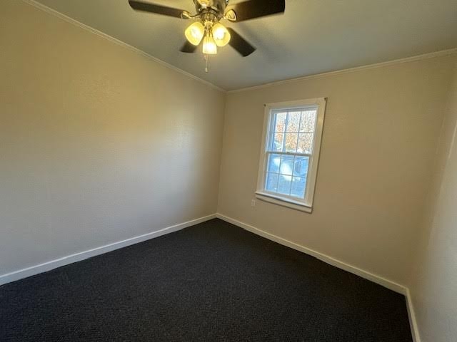 311 Hill St, W Property Photo 13