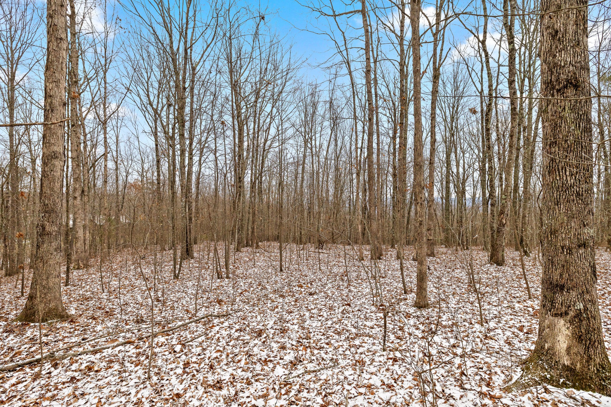 0 Twilight Trail Property Photo 4