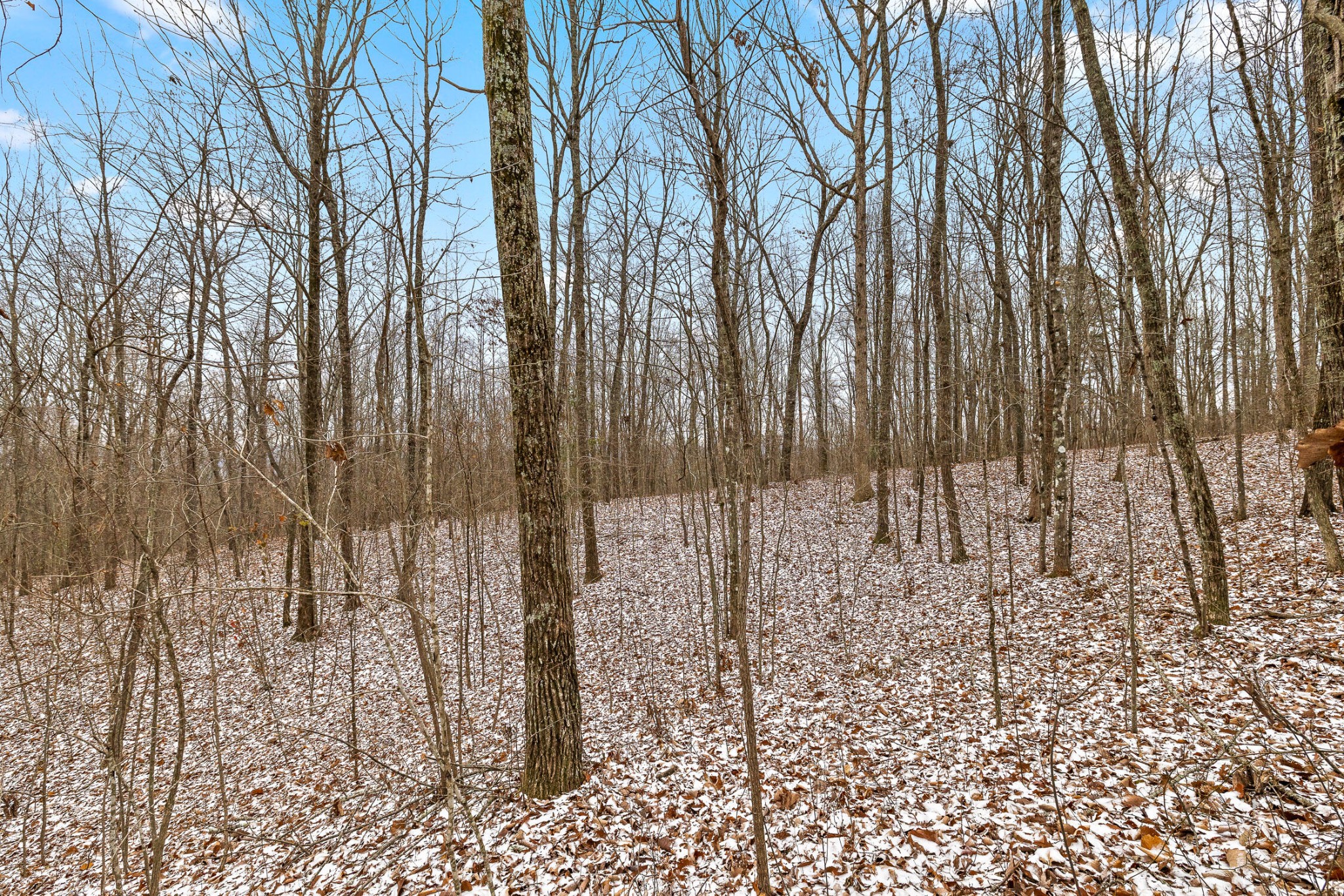 0 Twilight Trail Property Photo 14