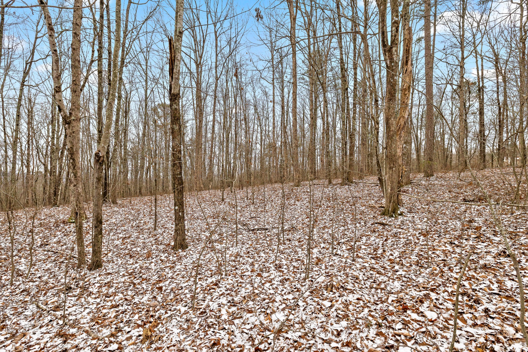 0 Twilight Trail Property Photo 16