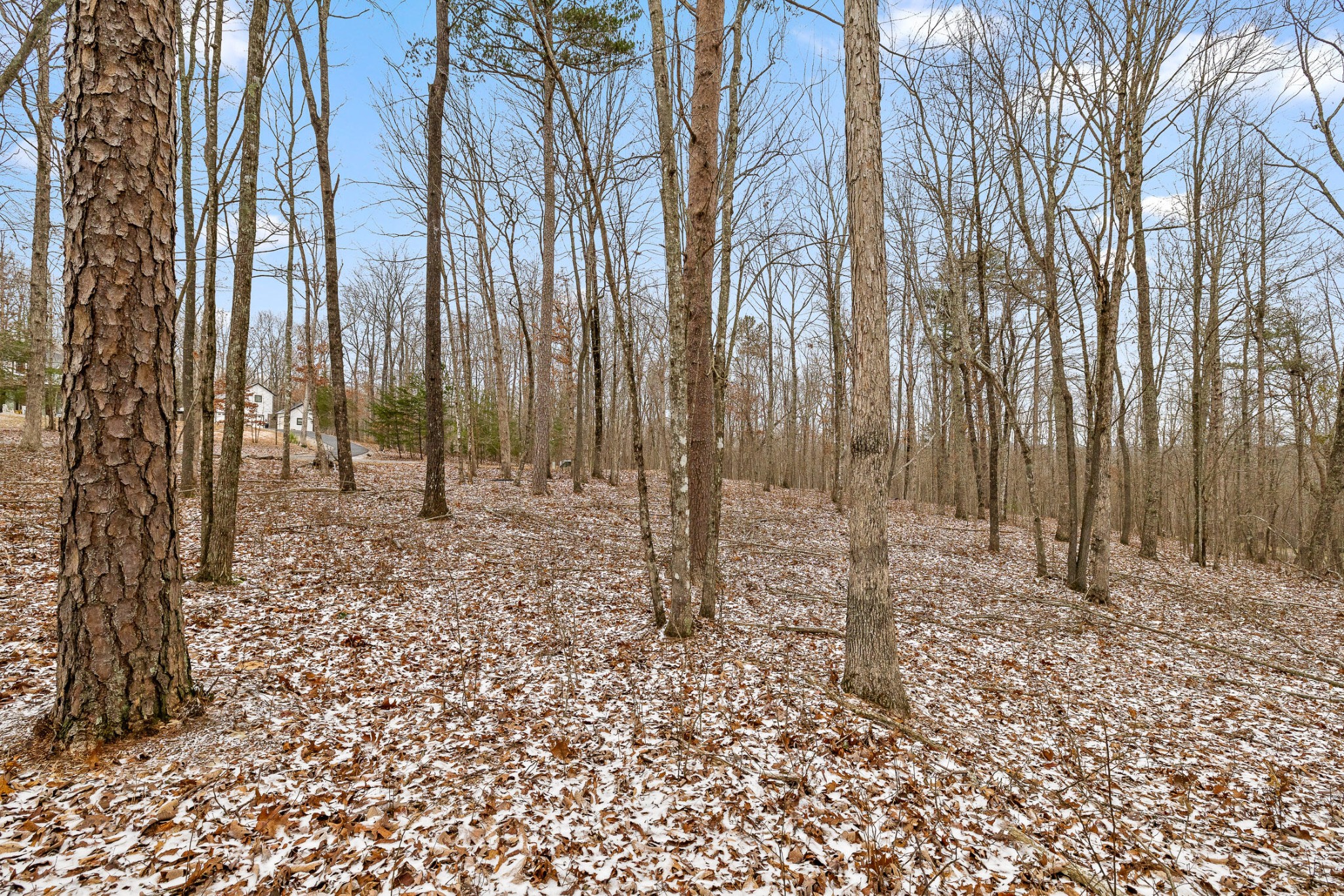 0 Twilight Trail Property Photo 17