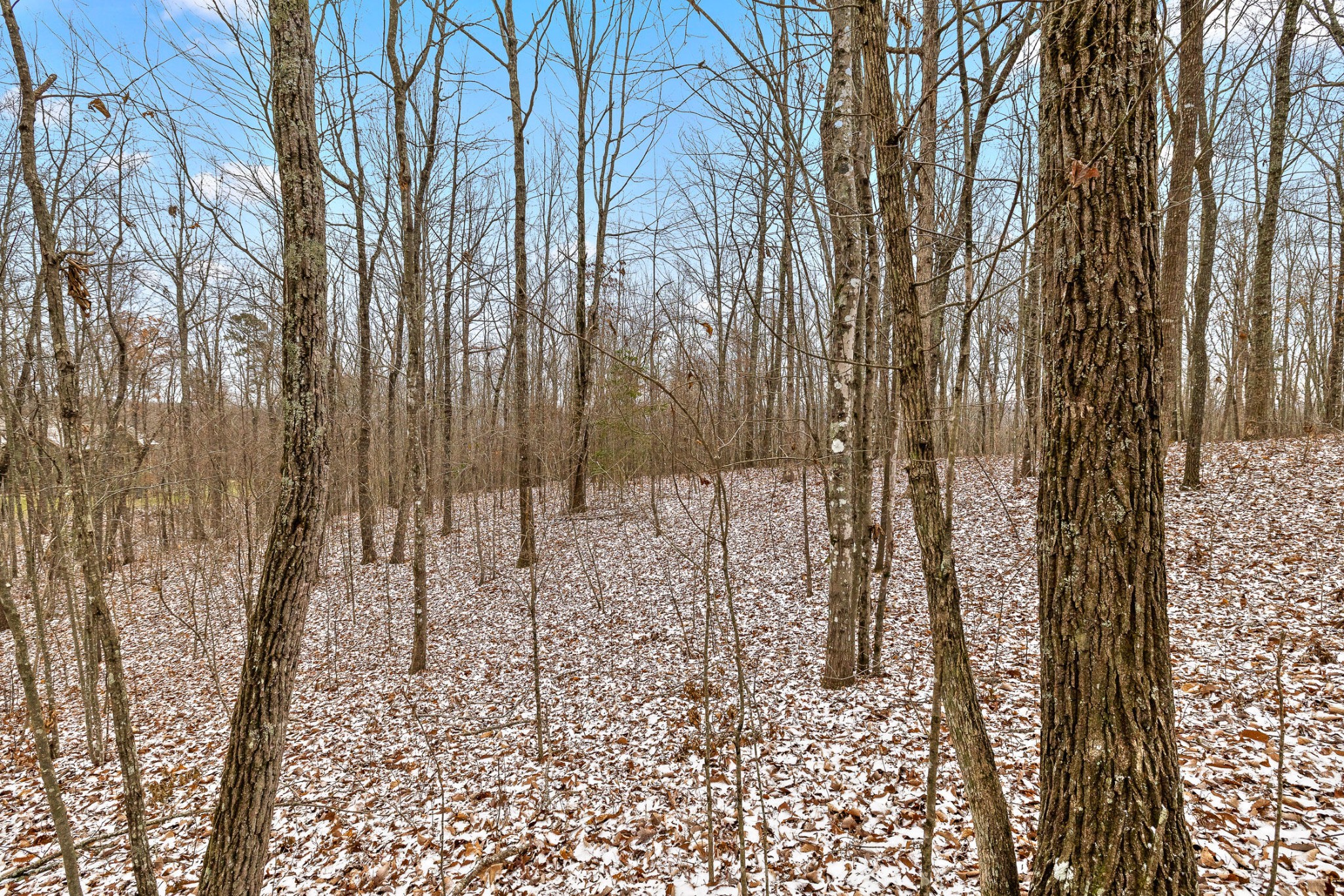 0 Twilight Trail Property Photo 18