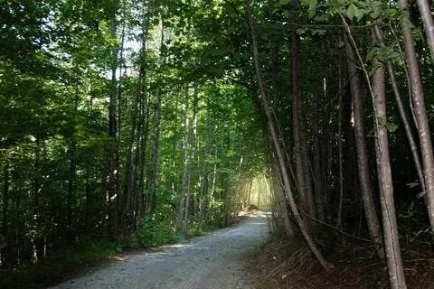 0 Twilight Trail Property Photo 22