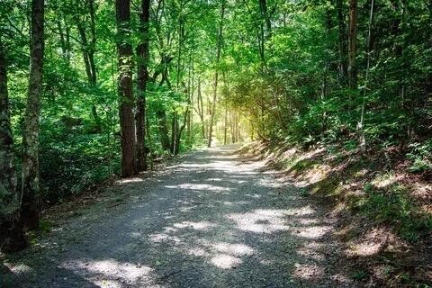 0 Twilight Trail Property Photo 25