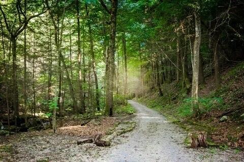 0 Twilight Trail Property Photo 26