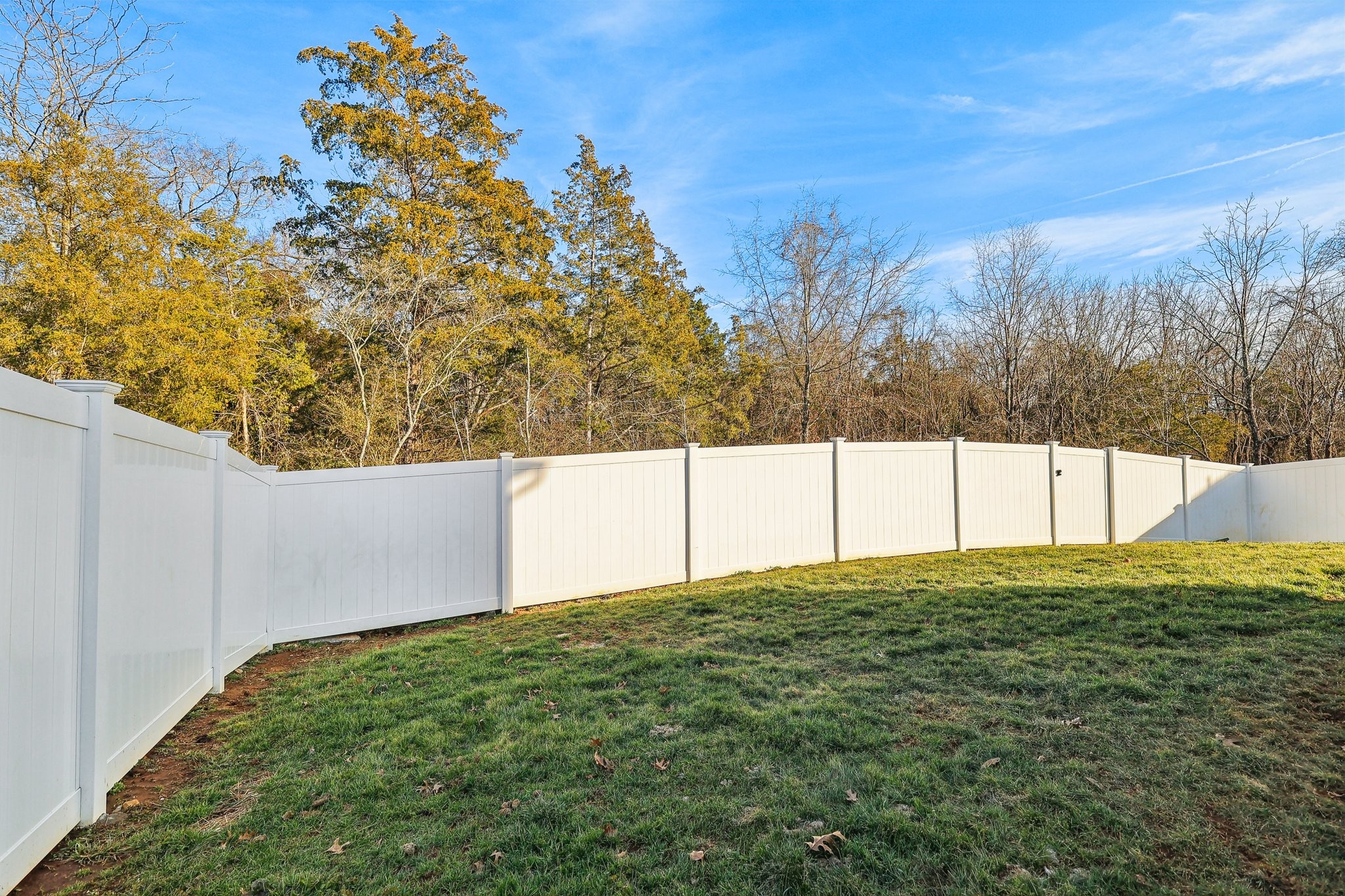 147 Olivia Cir Property Photo 46