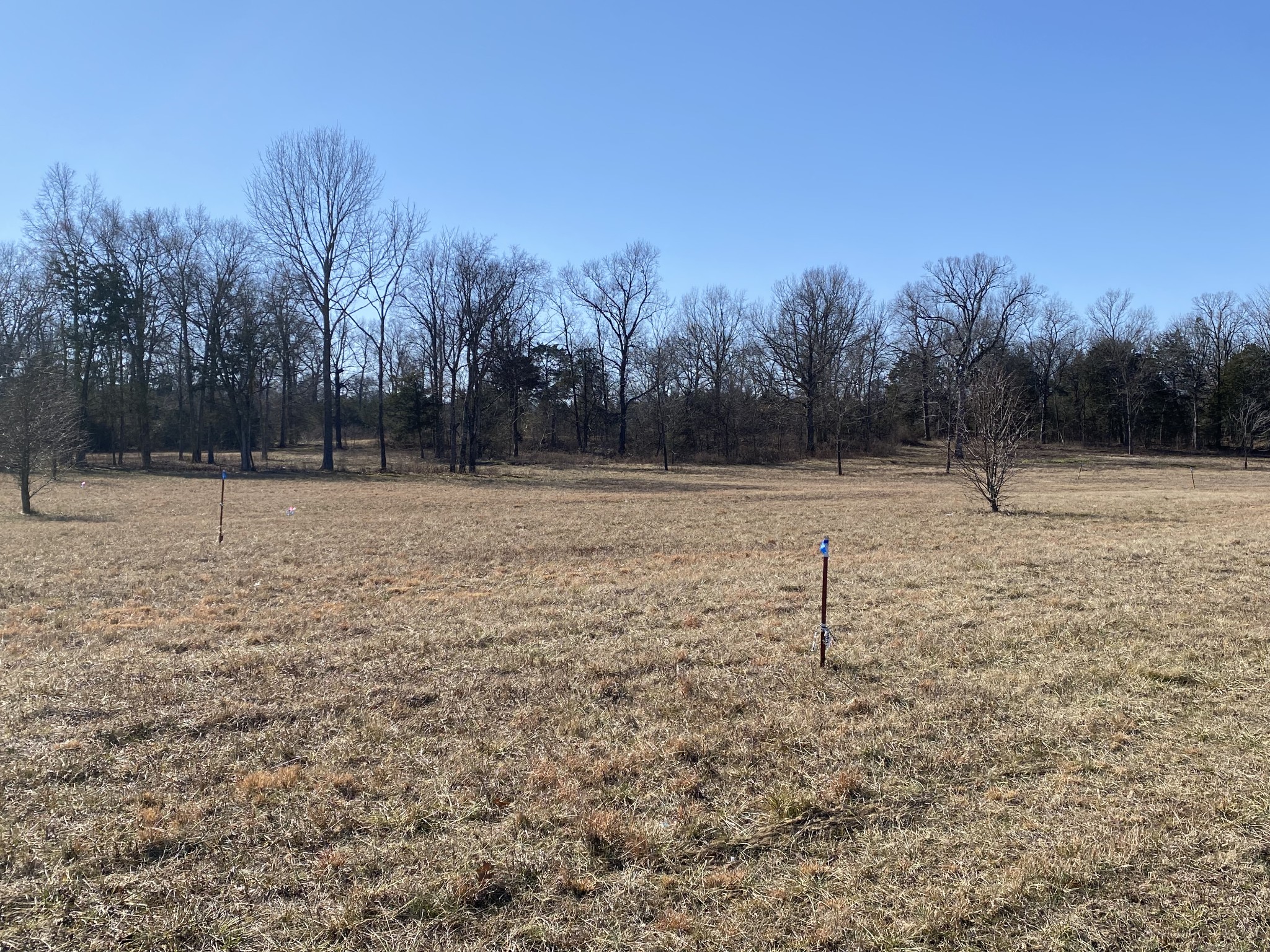 11239 Karo Rd Property Photo
