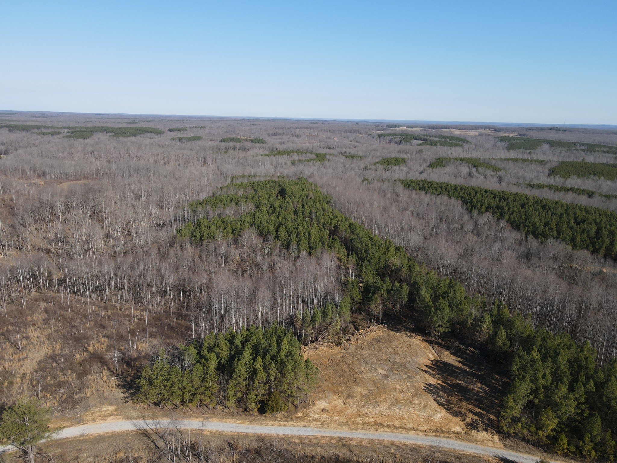 0 Hurricane Creek Road Property Photo 1