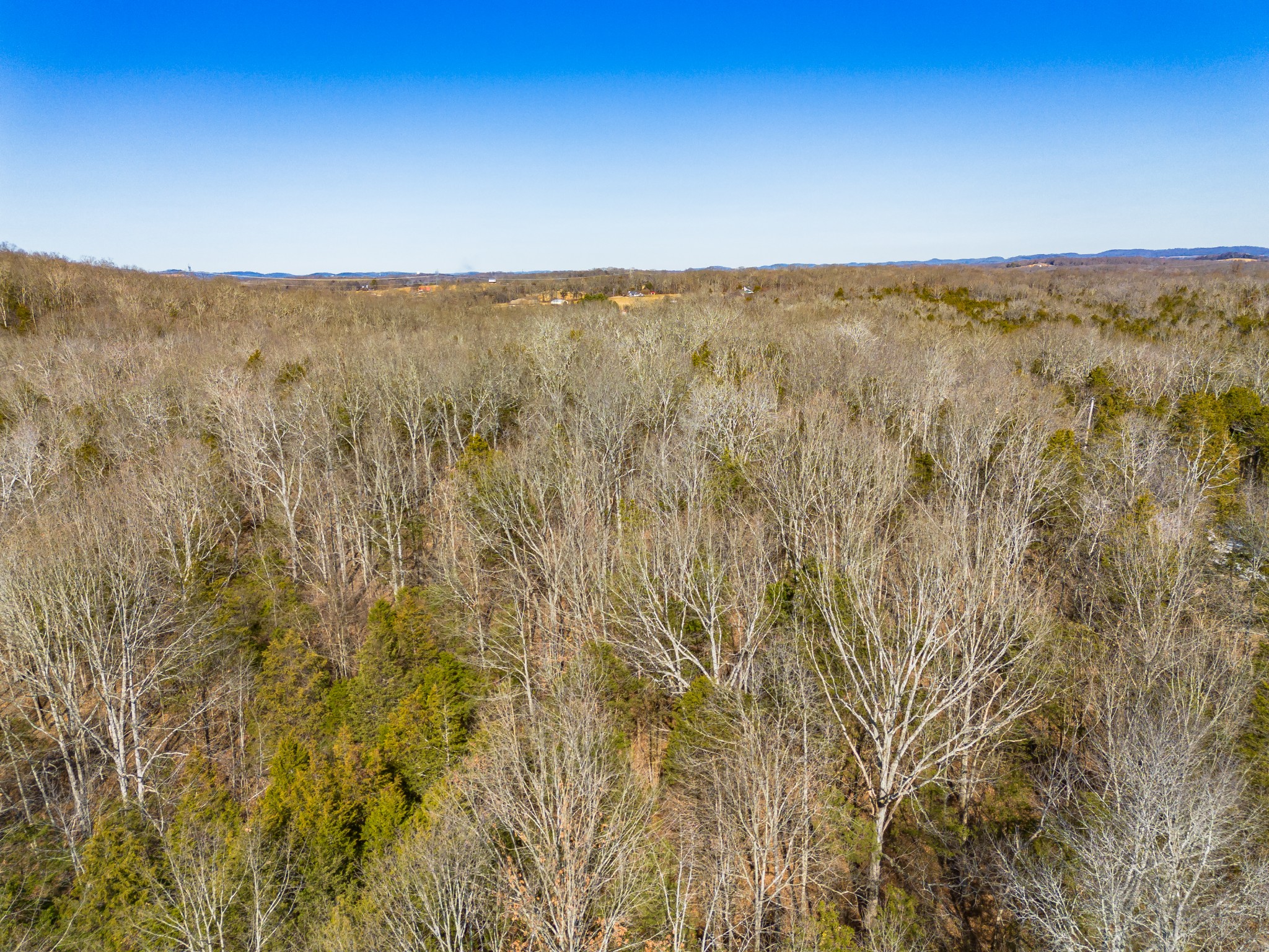 0 Joe Peay Rd Property Photo 7