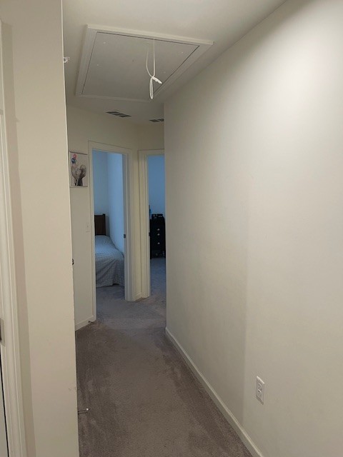 3309 Deerchase Cir Property Photo 43