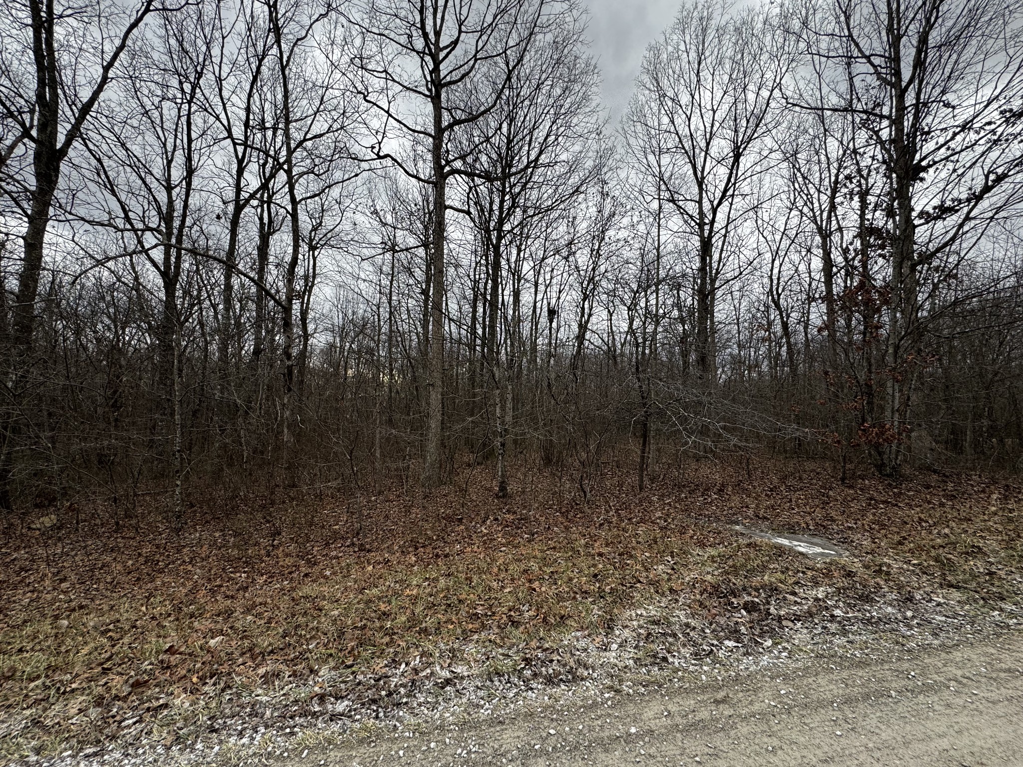 0 Hunters Ridge Trl Property Photo 5