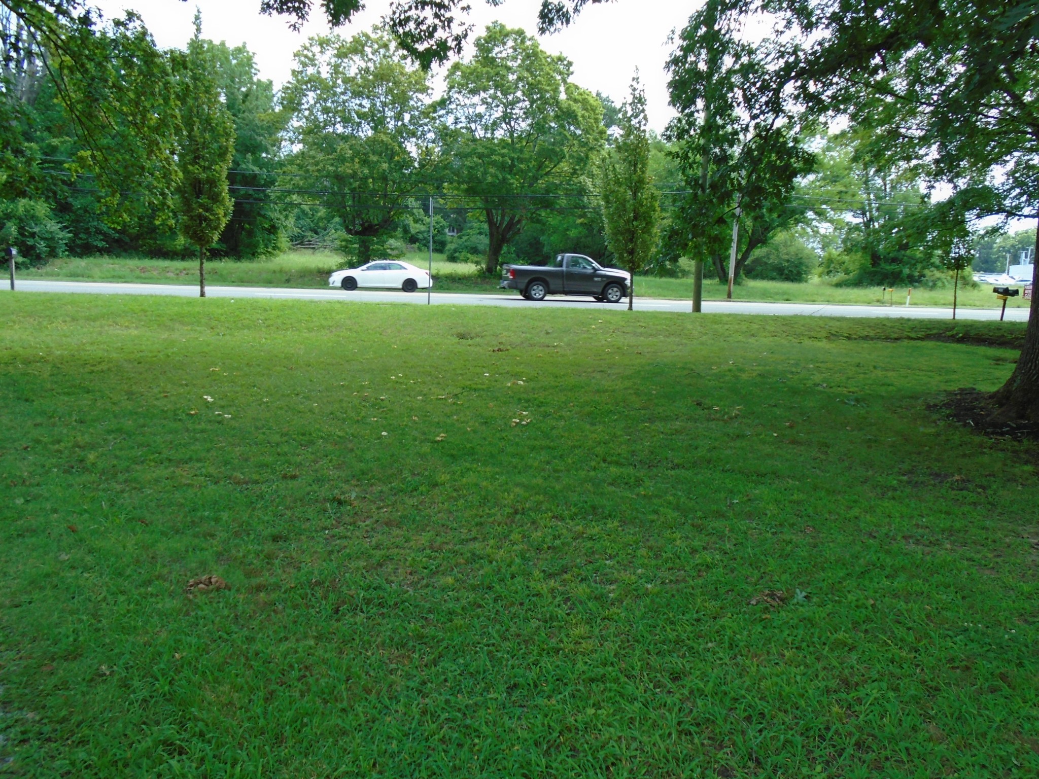 2503 Memorial Blvd Property Photo 16