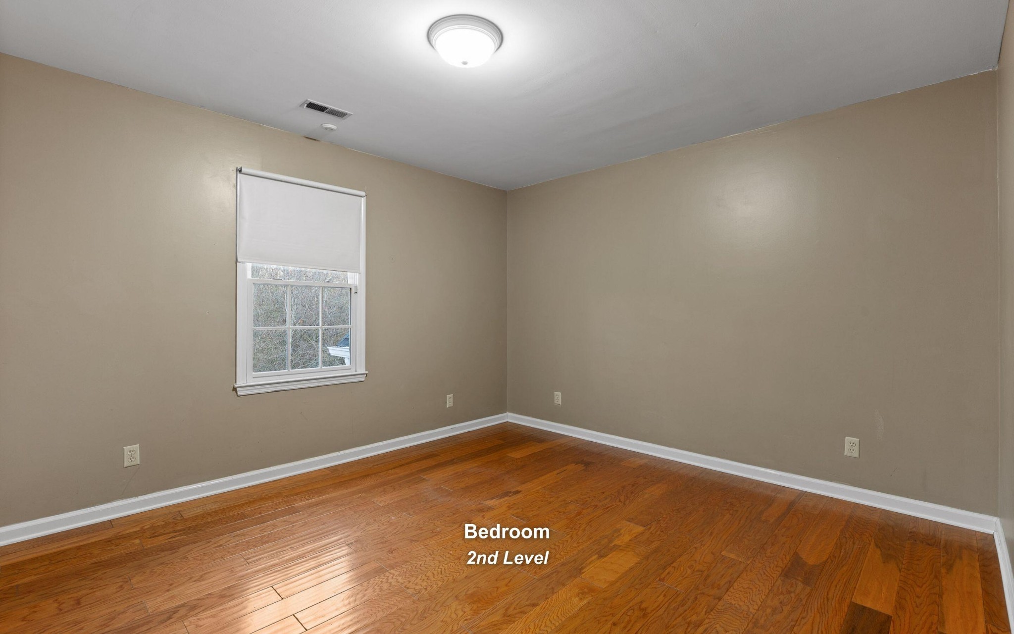 3 Northfield Road Property Photo 32