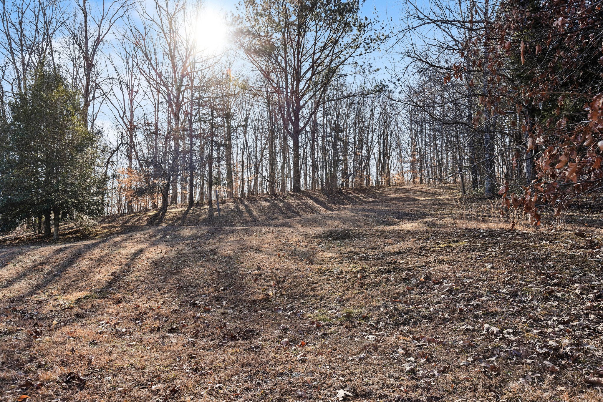 286 Keel Hollow Rd Property Photo 43