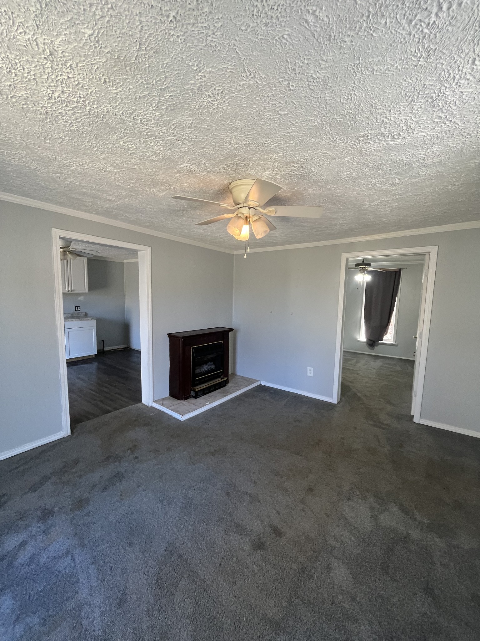 6711 Highway 49 Property Photo 6