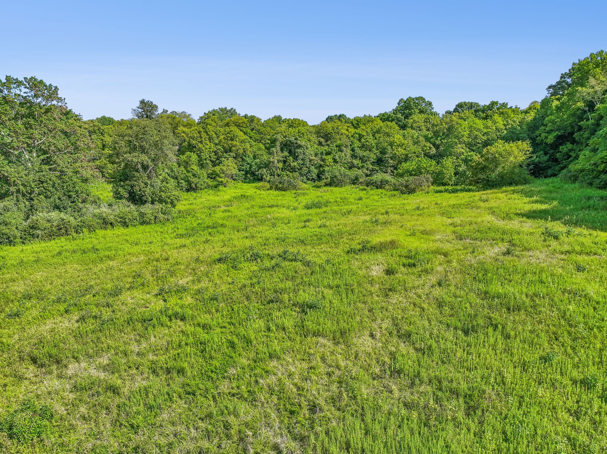 0 Bear Creek Pike Property Photo 12