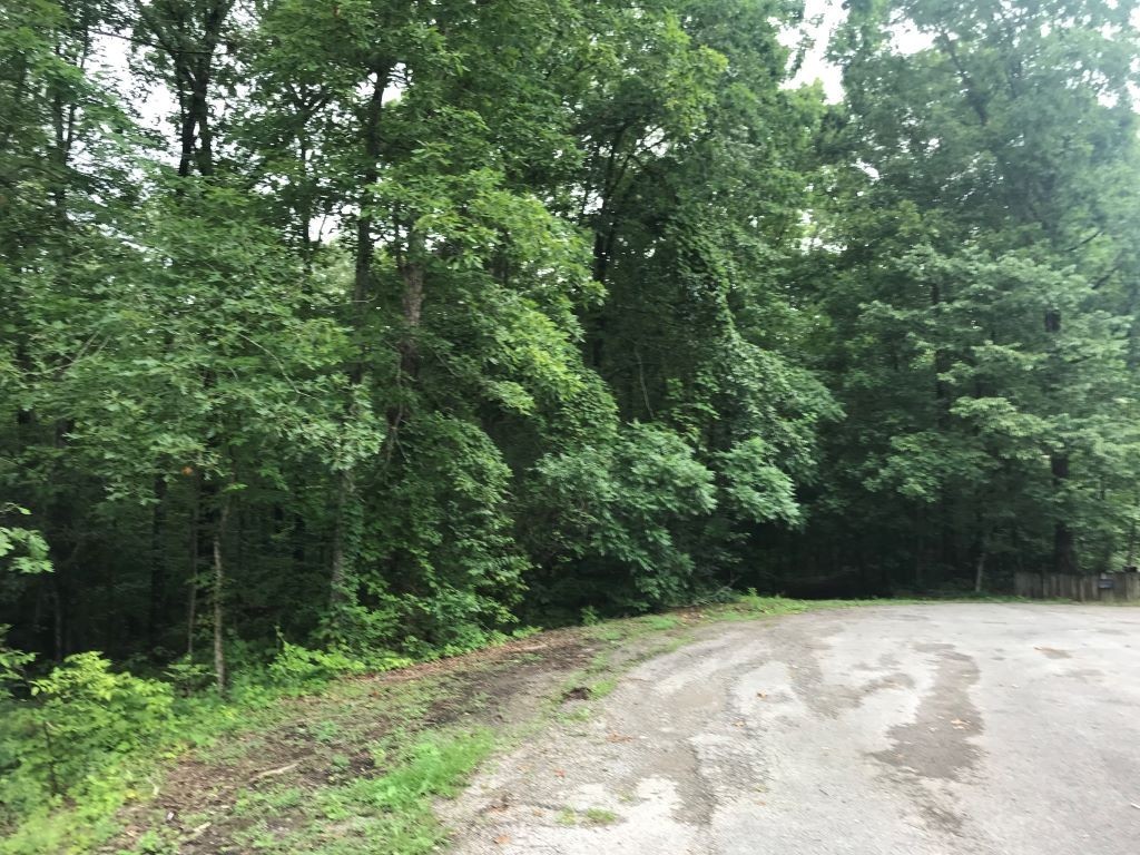 0 Alex Court Property Photo 2