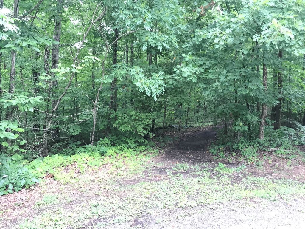 0 Alex Court Property Photo 3