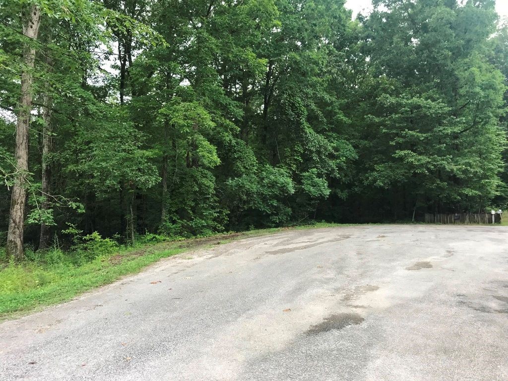 0 Alex Court Property Photo 4