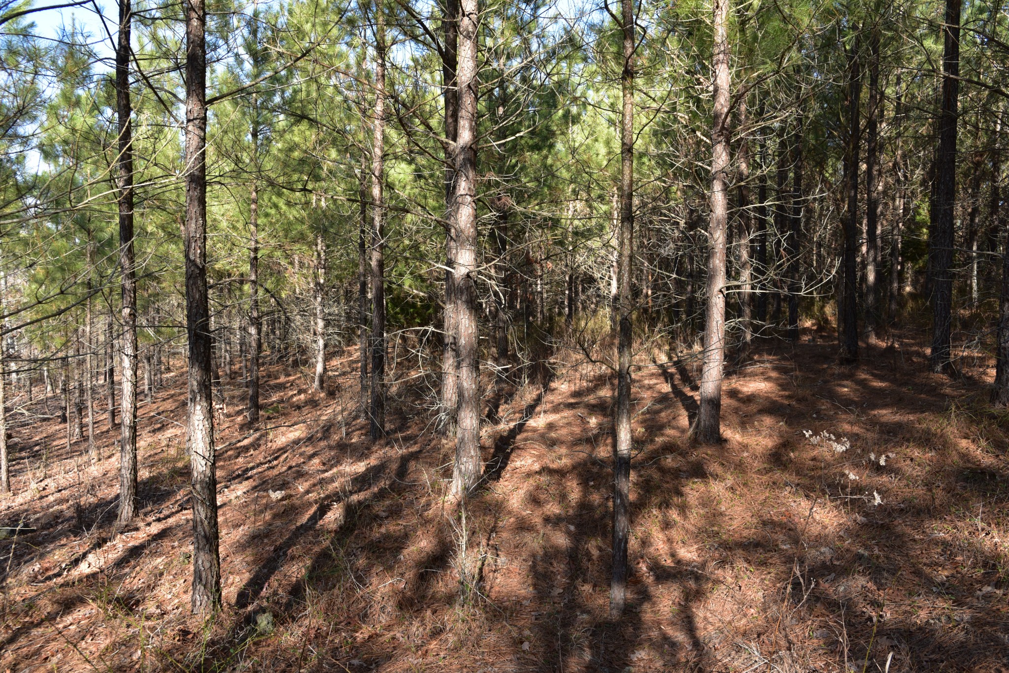 0 Old Highway 18 Property Photo 12