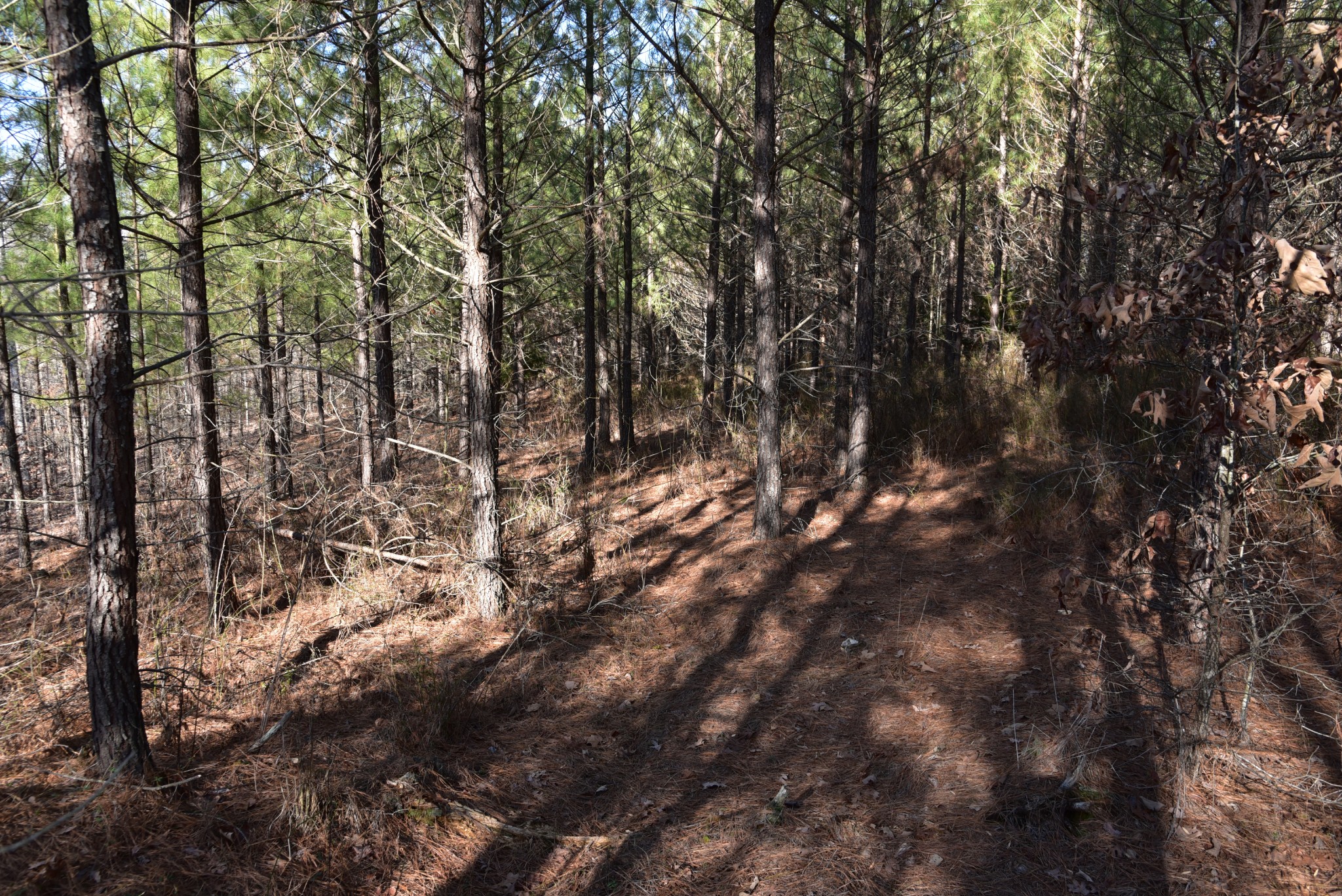 0 Old Highway 18 Property Photo 22