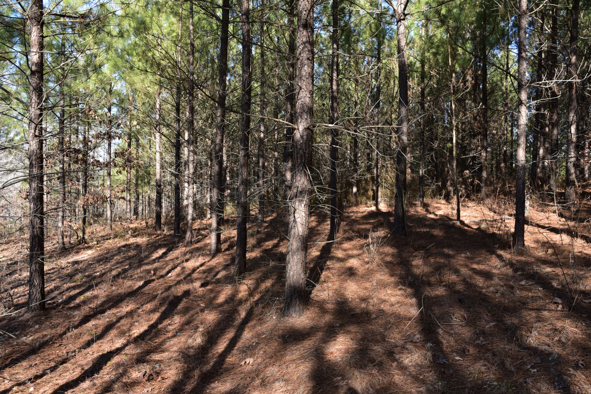 0 Old Highway 18 Property Photo 23