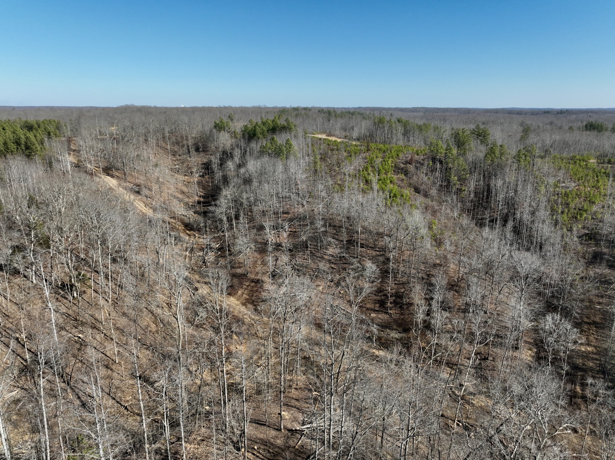 0 White Oak Rd Property Photo 10