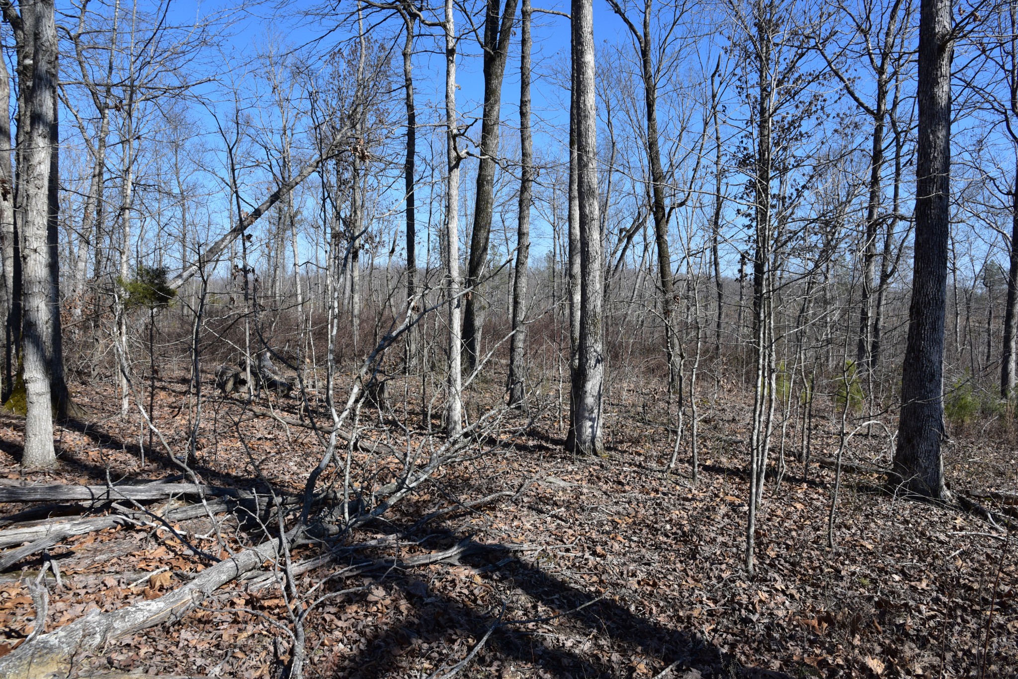 0 White Oak Rd Property Photo 12