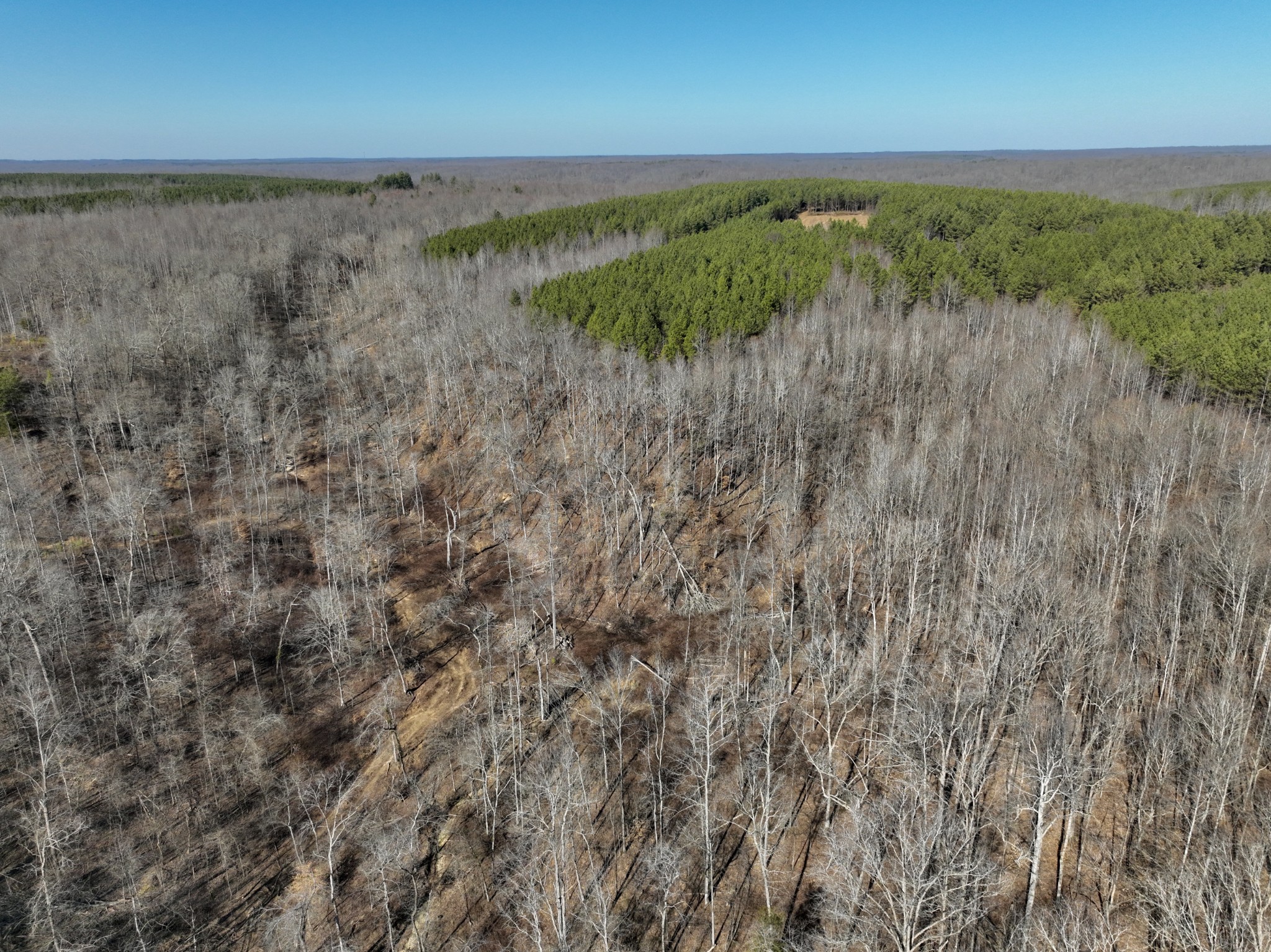 0 White Oak Rd Property Photo 17