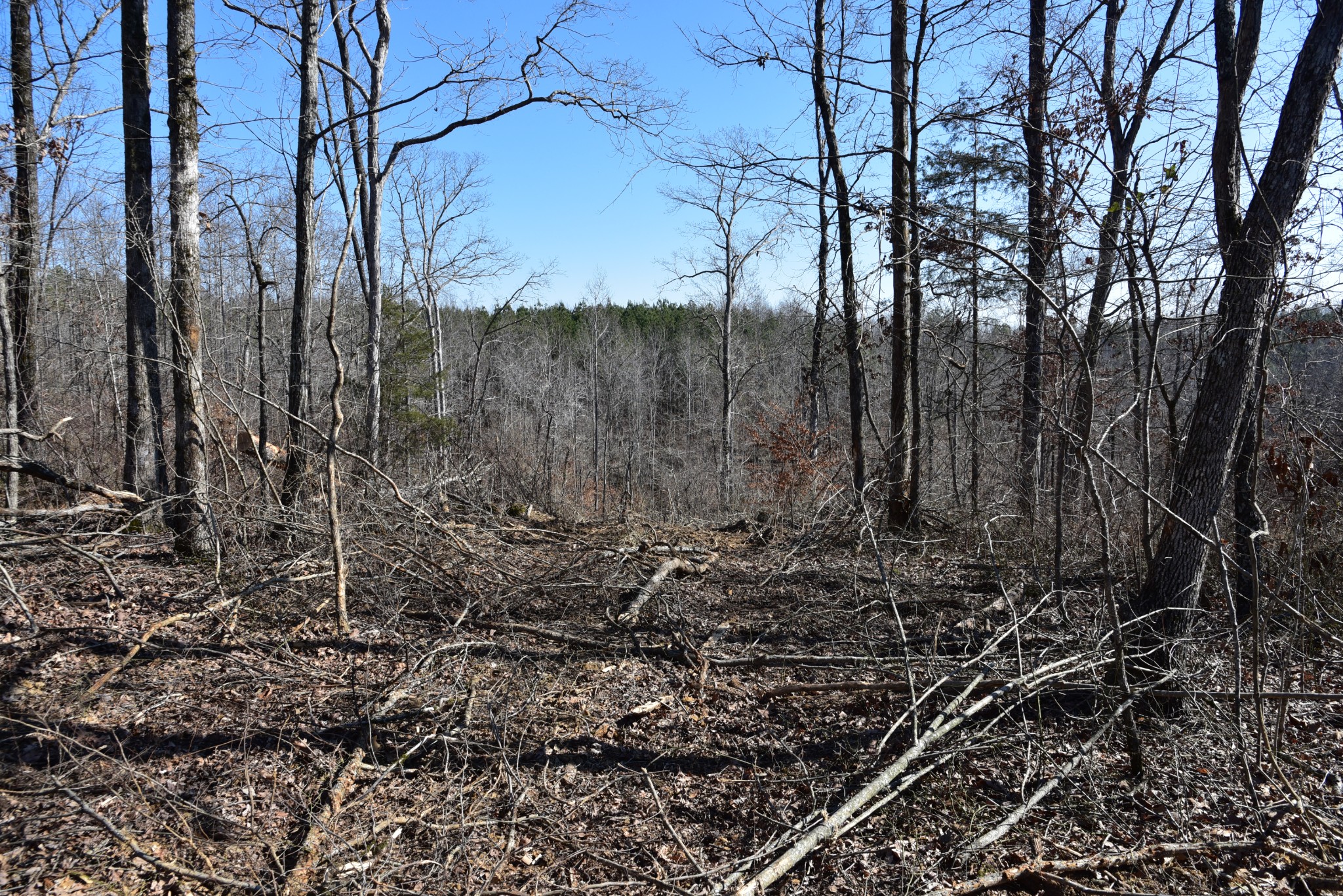 0 White Oak Rd Property Photo 18