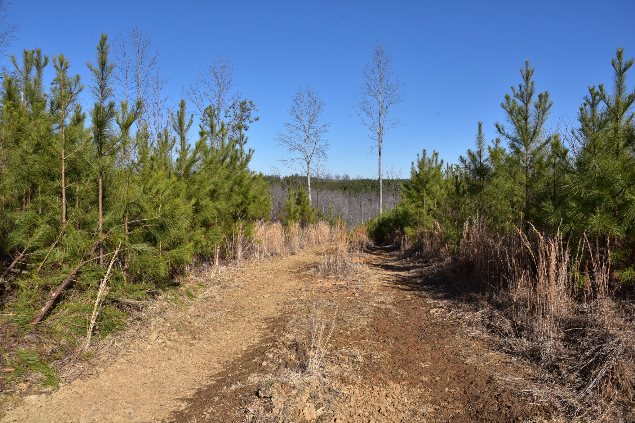0 White Oak Rd Property Photo 15