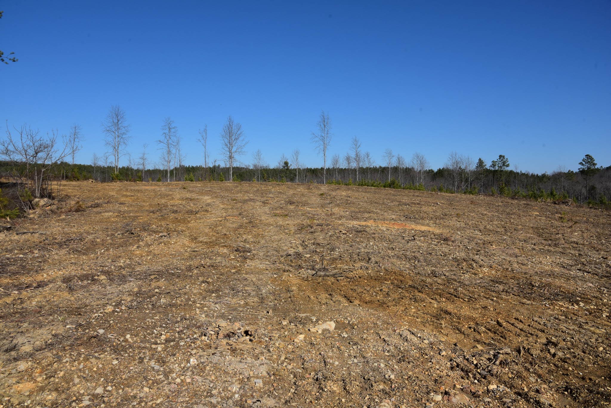 0 White Oak Rd Property Photo 17