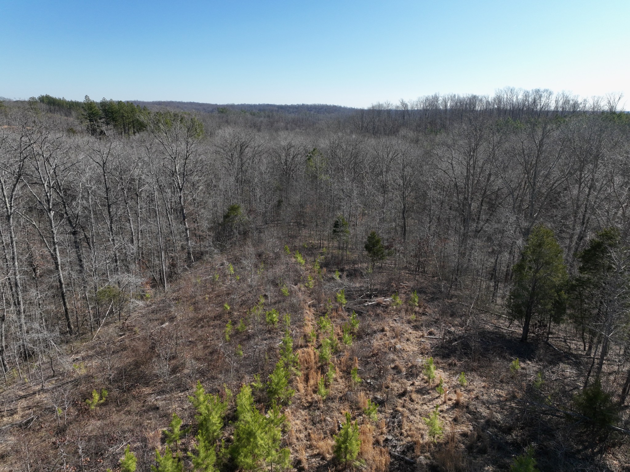 0 White Oak Rd Property Photo 22