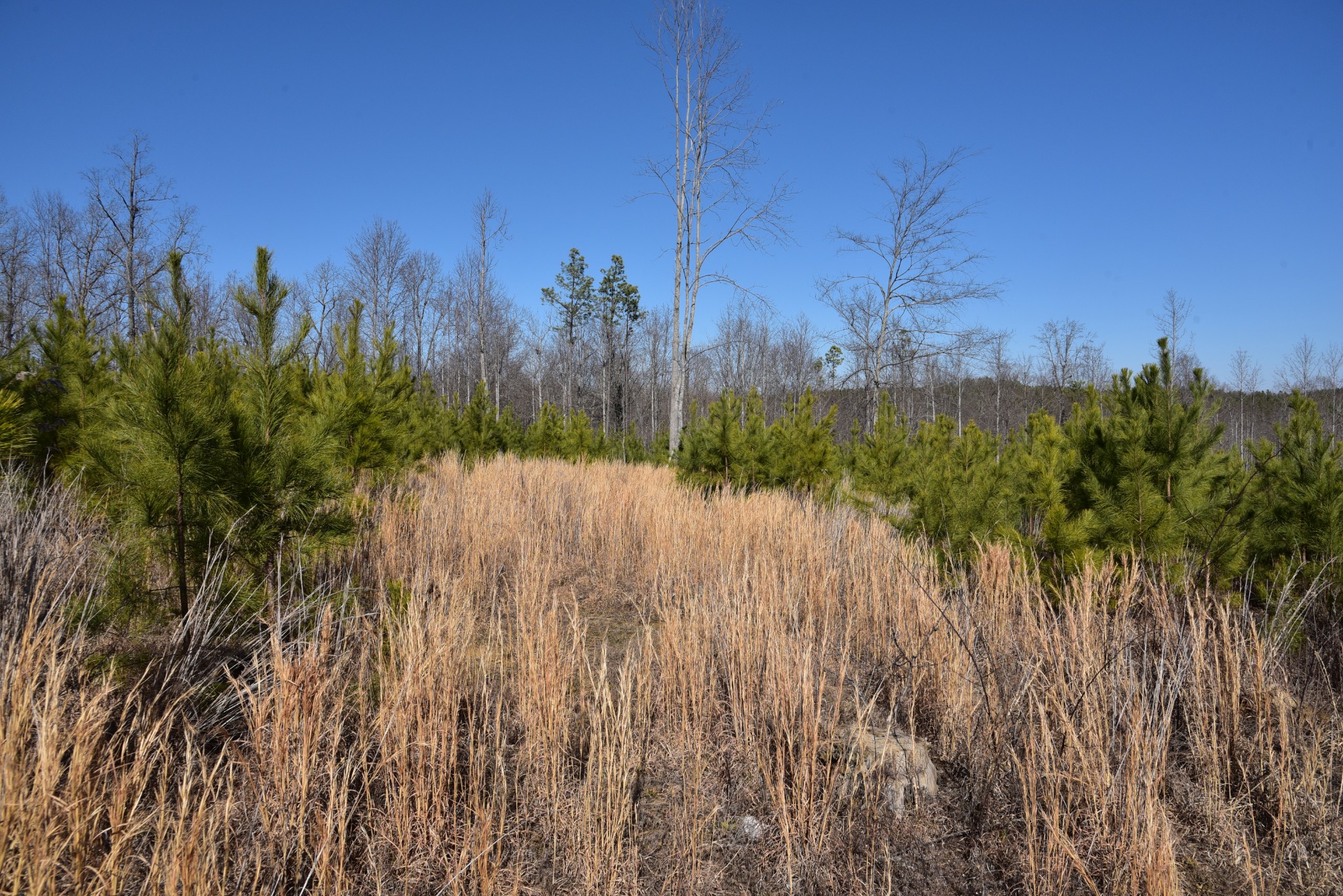 0 White Oak Rd Property Photo 26