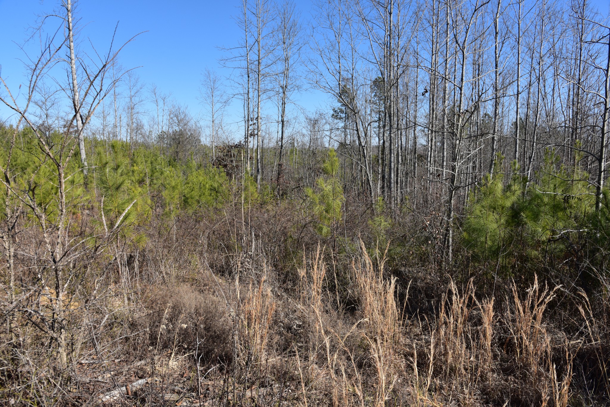 0 White Oak Rd Property Photo 27