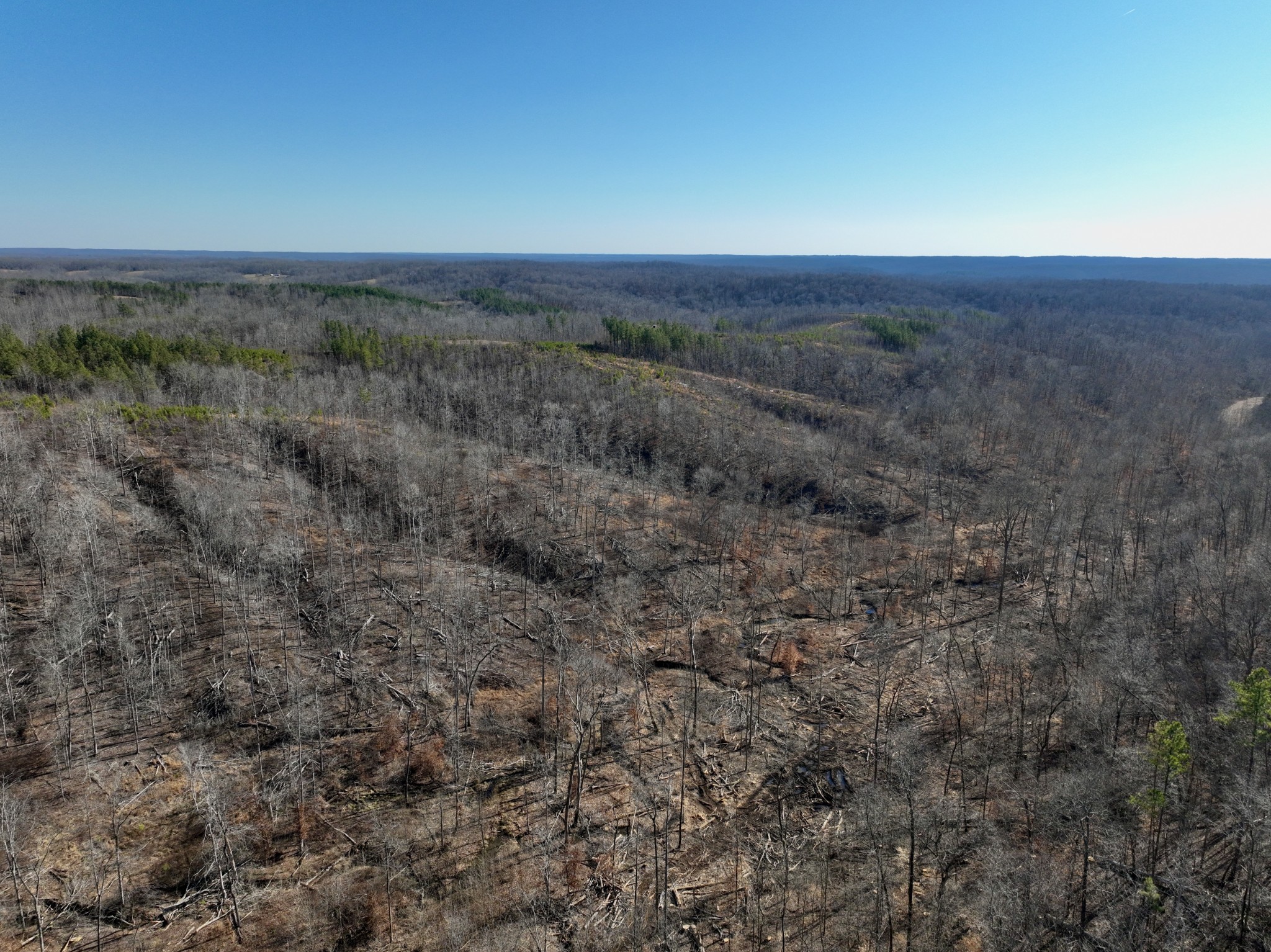 0 White Oak Rd Property Photo 28