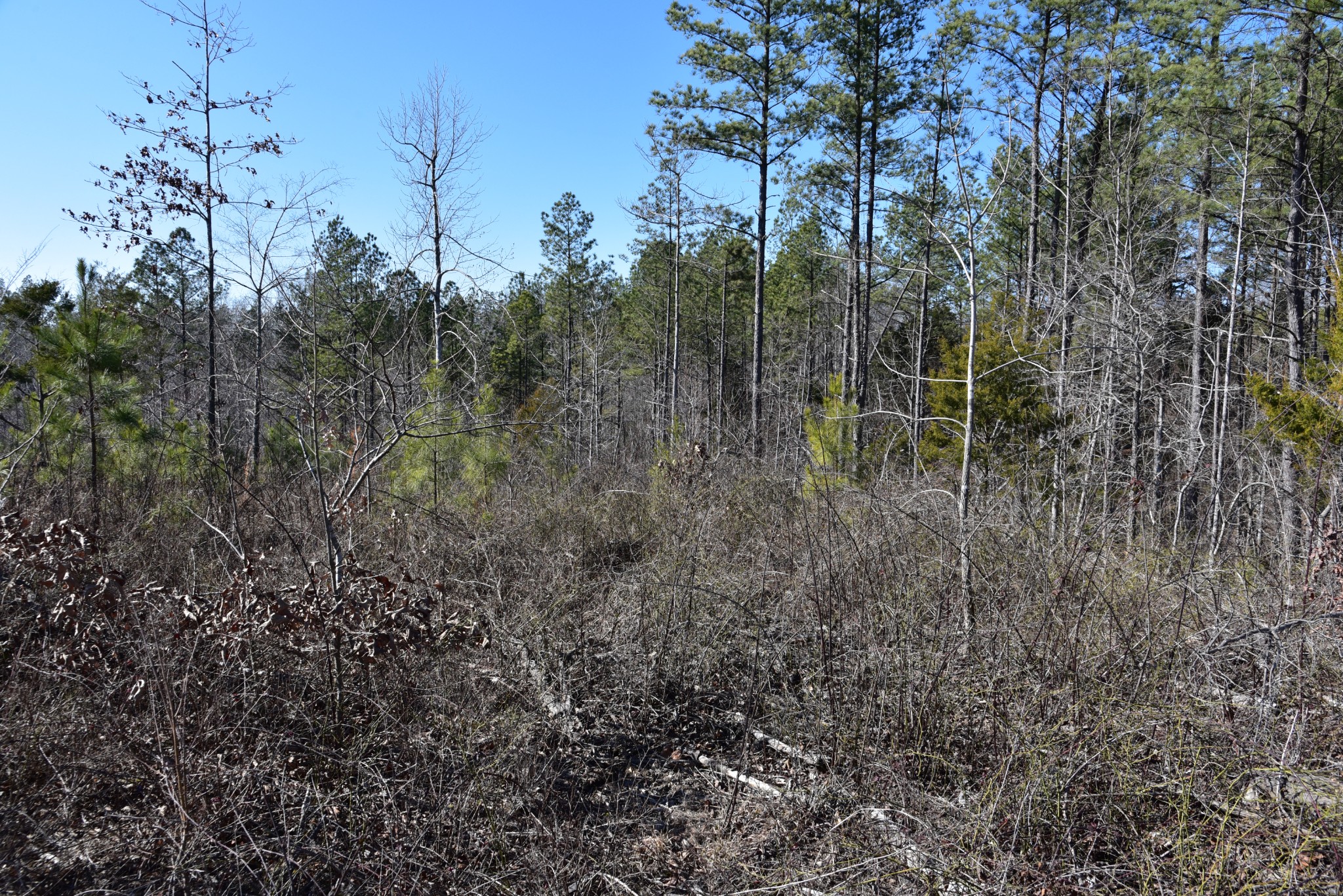 0 White Oak Rd Property Photo 29