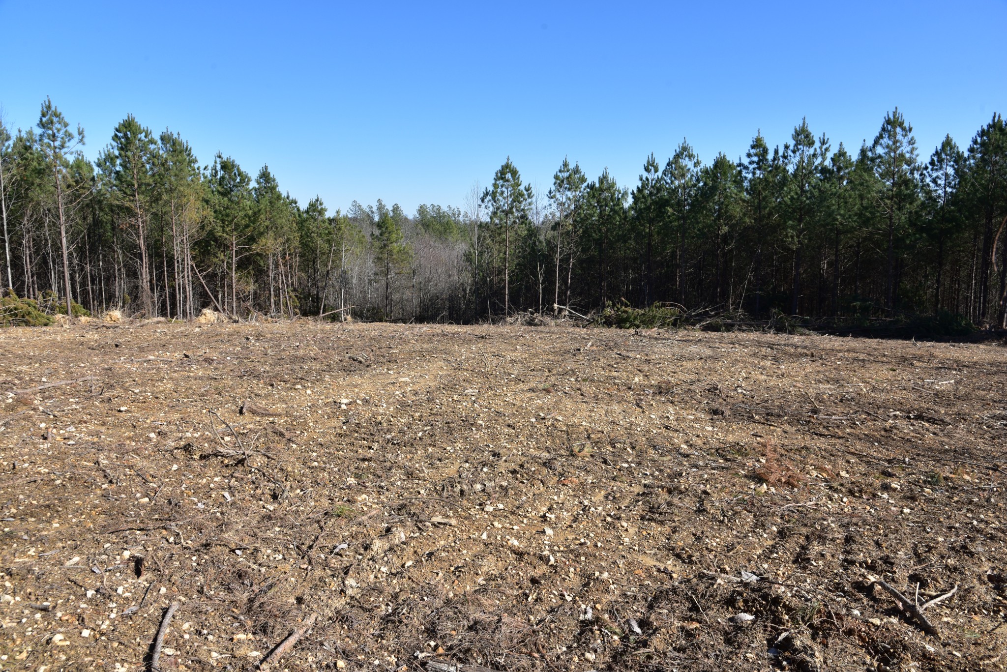 0 White Oak Rd Property Photo 5