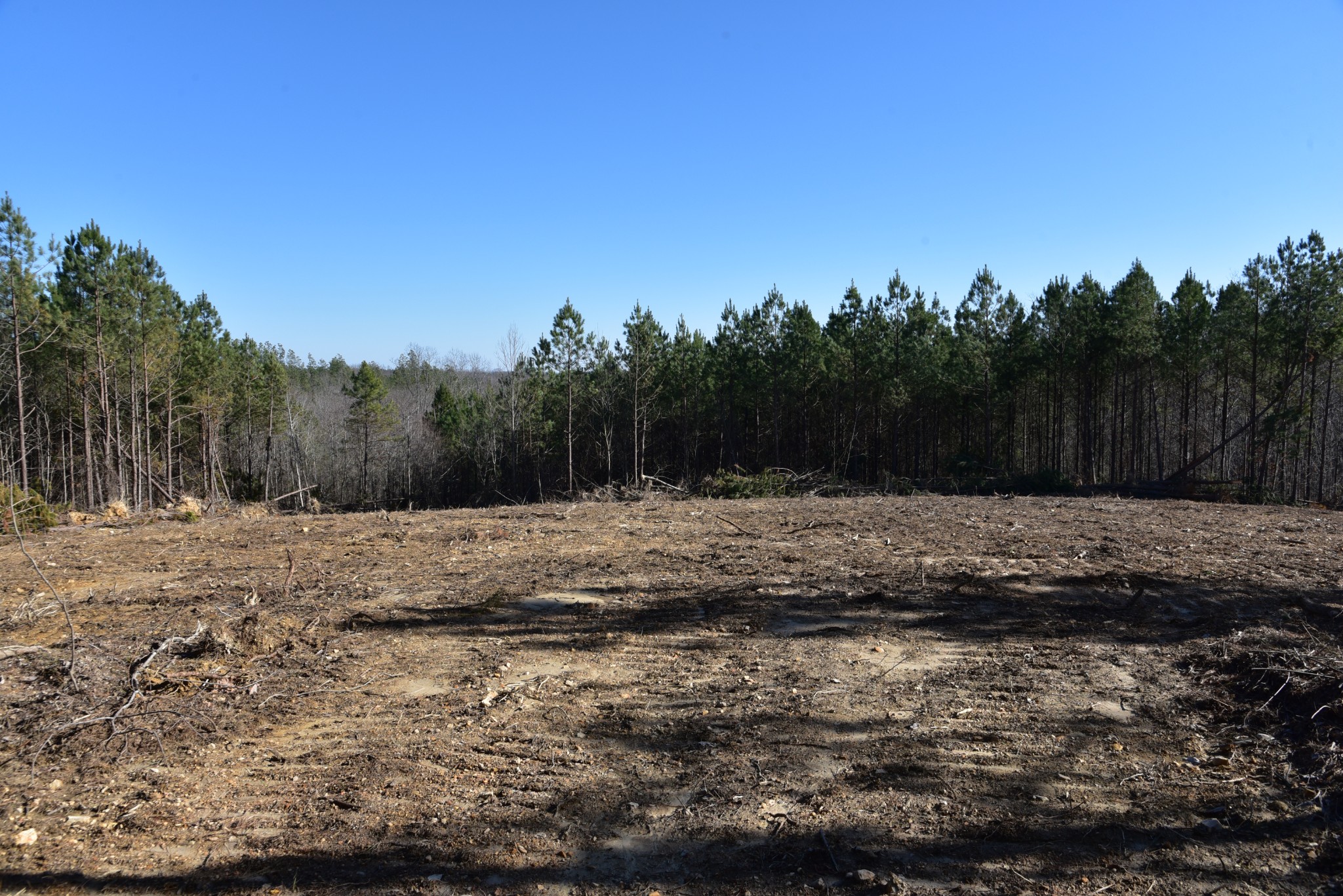 0 White Oak Rd Property Photo 6