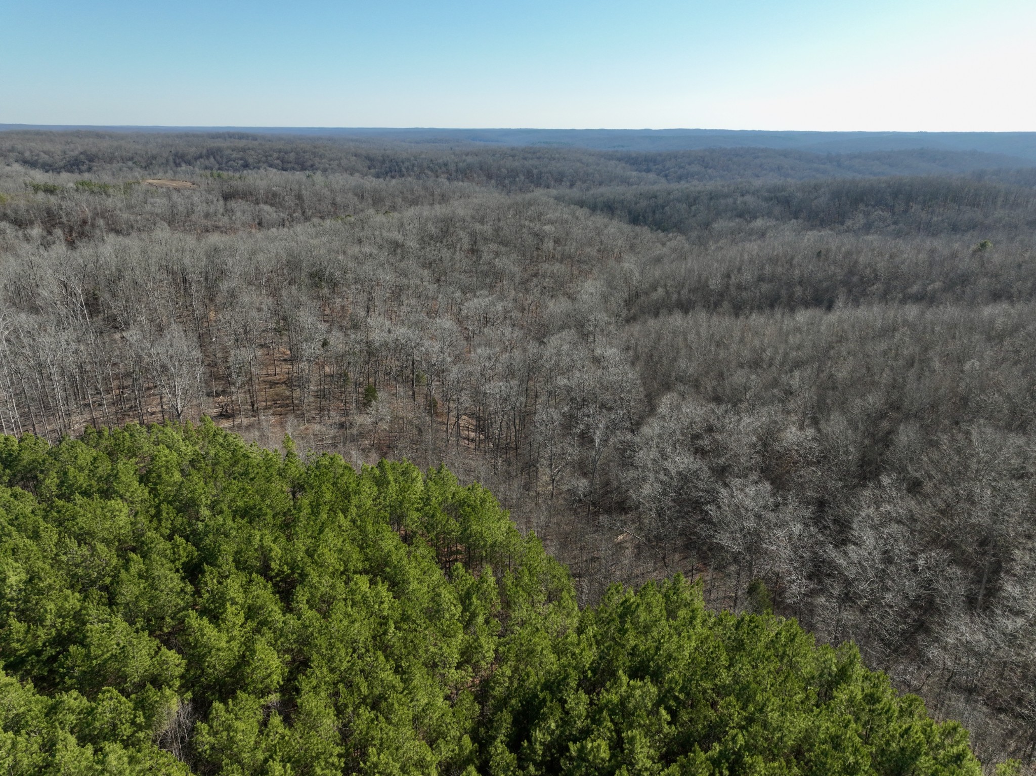 0 White Oak Rd Property Photo 10