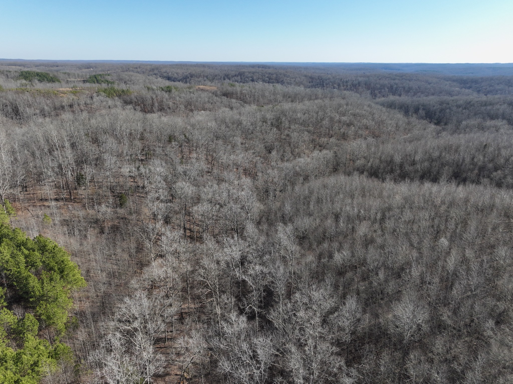 0 White Oak Rd Property Photo 11