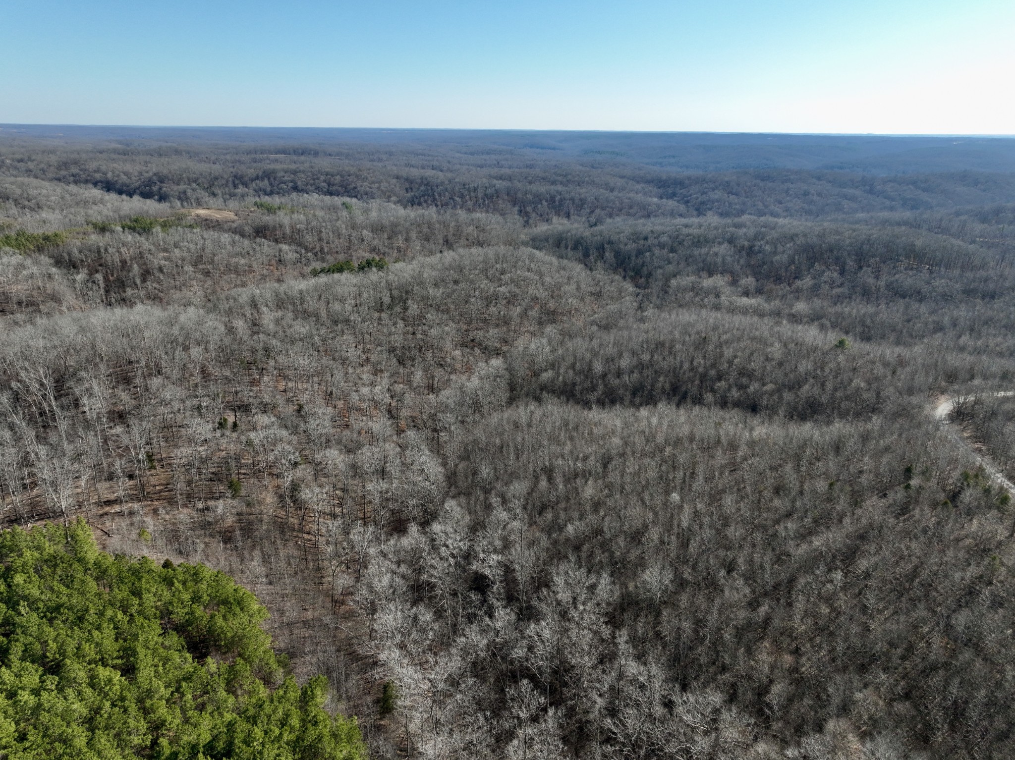 0 White Oak Rd Property Photo 12