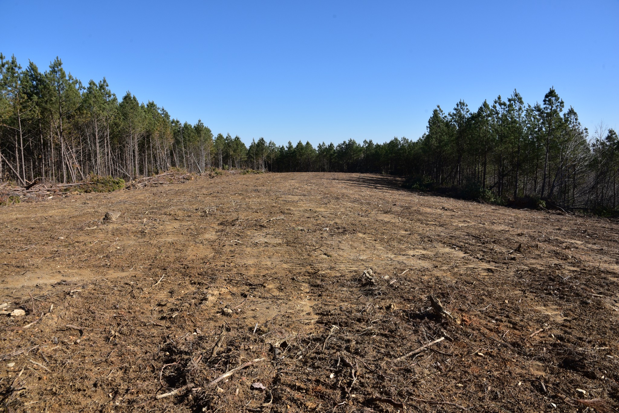 0 White Oak Rd Property Photo 15