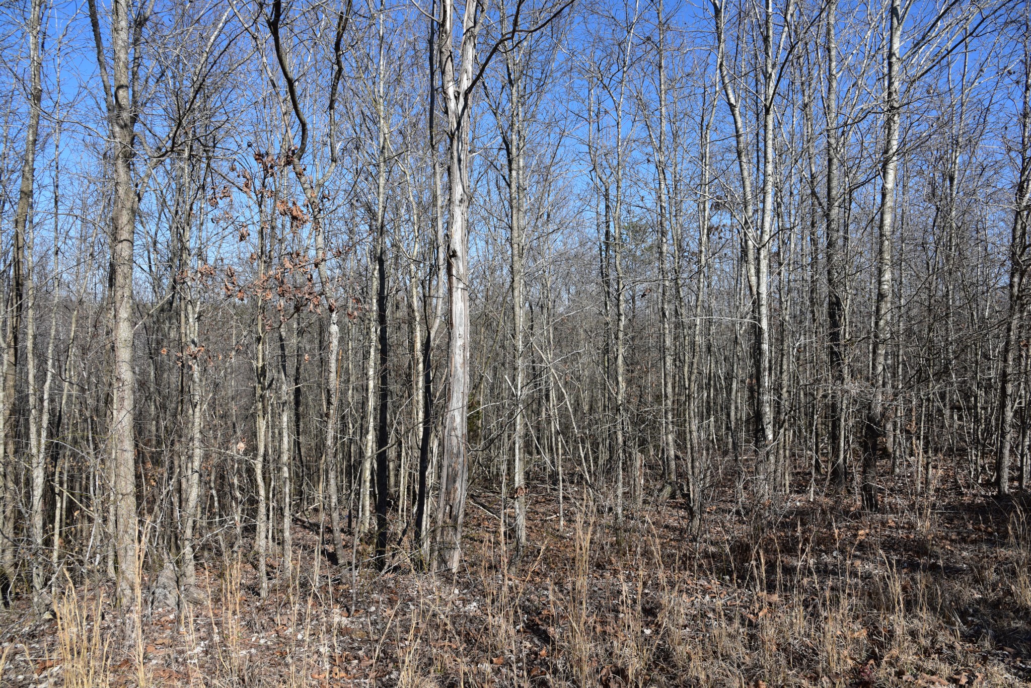0 White Oak Rd Property Photo 21